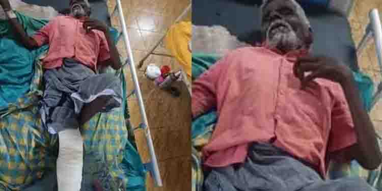 കേള്‍വിക്കുറവുള്ളതിനാല്‍ ആന എത്തിയത് അറിഞ്ഞില്ല; കാട്ടാനയുടെ ആക്രമണത്തില്‍ വയോധികന് പരിക്ക്