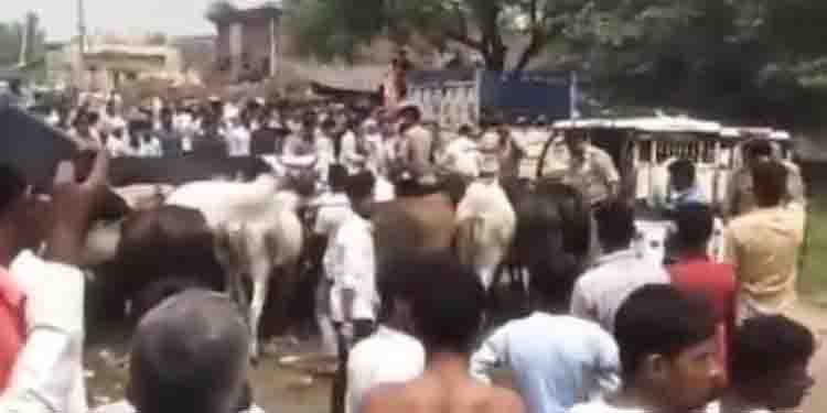 കന്നുകാലികളുമായി വഴിമുടക്കി പ്രതിഷേധം, യുപിയിൽ മന്ത്രിയുടെ വാഹനം തടഞ്ഞ 90 പേർക്കെതിരെ കേസ്