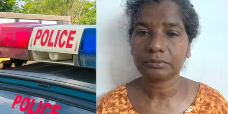 വേലിയെ ചൊല്ലി തർക്കം, കലികൊണ്ട് വീട്ടമ്മ; അയൽവാസികളായ അച്ഛനെയും മകനെയും വെട്ടിക്കൊല്ലാൻ ശ്രമം, അറസ്റ്റ്