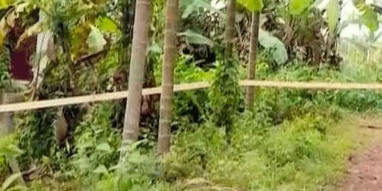 കൊയിലാണ്ടിയിൽ കത്തിക്കരിഞ്ഞ നിലയിൽ കണ്ടെത്തിയ മൃതദേഹം തിരിച്ചറിഞ്ഞു