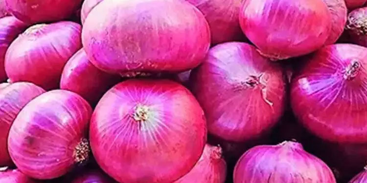 സവാളയുടെ കയറ്റുമതി തീരുവ : രണ്ടോ മൂന്നോ മാസം ജനങ്ങൾ സവാള കഴിച്ചില്ലെന്ന് കരുതി പ്രശ്നമൊന്നുമില്ലെന്ന് ശിവസേന മന്ത്രി