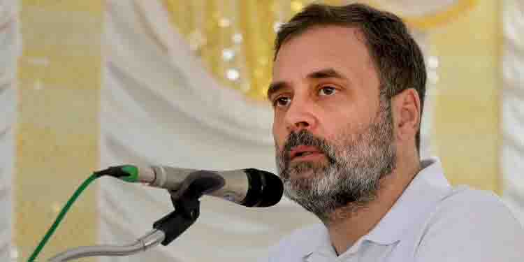 ‘പേരിലല്ല, കർമത്തിലാണ് കാര്യം’; നെഹ്റു മ്യൂസിയത്തിന്റെ പേര് മാറ്റത്തിൽ രാഹുൽ ഗാന്ധി