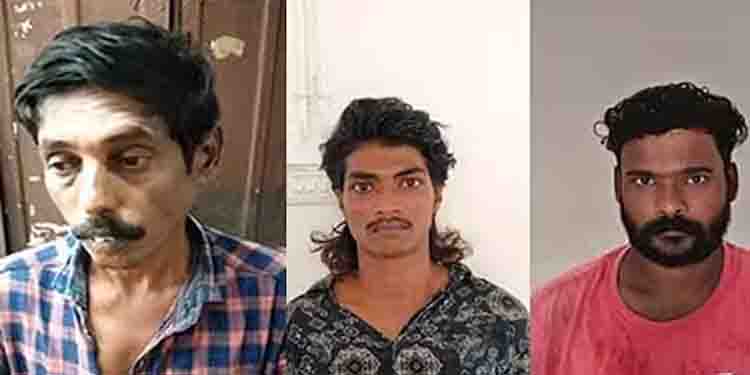 സംസ്ഥാനത്ത് വന്‍ കഞ്ചാവ് വേട്ട; യുവാക്കള്‍ അറസ്റ്റില്‍, എത്തിച്ചത് ആന്ധ്രയില്‍ നിന്ന്