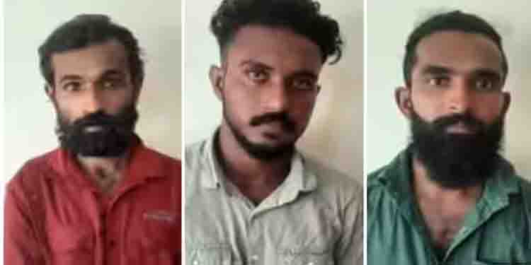 കൊല്ലത്തും എറണാകുളത്തും വന് ലഹരിമരുന്നു വേട്ട; എംഡിഎംഎയും കഞ്ചാവും സിറിഞ്ചുകളും പിടികൂടി