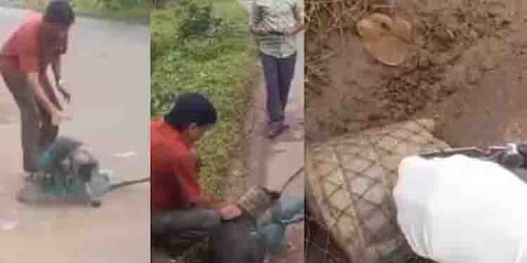 മിഠായി ഭരണി തലയിൽ കുടുങ്ങി, ആരും തിരിഞ്ഞ് നോക്കിയില്ല; തെരുവ് നായക്ക് രക്ഷകരായി റെസ്ക്യൂ ടീം