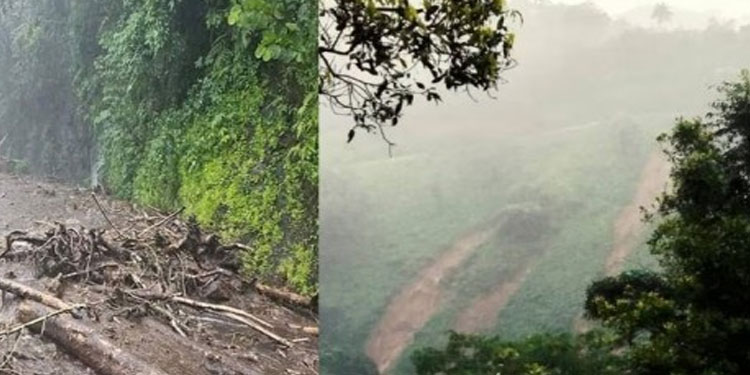 കോട്ടയം മലയോര മേഖലകളില്‍ കനത്ത മഴ; വെള്ളാനിയില്‍ ഉരുള്‍പൊട്ടല്‍