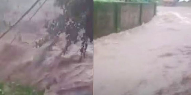 പാലക്കാട്‌ പാലക്കയത്ത്‌ ഉരുൾപൊട്ടൽ; വീടുകളിലും കടകളിലും വെള്ളം കയറി