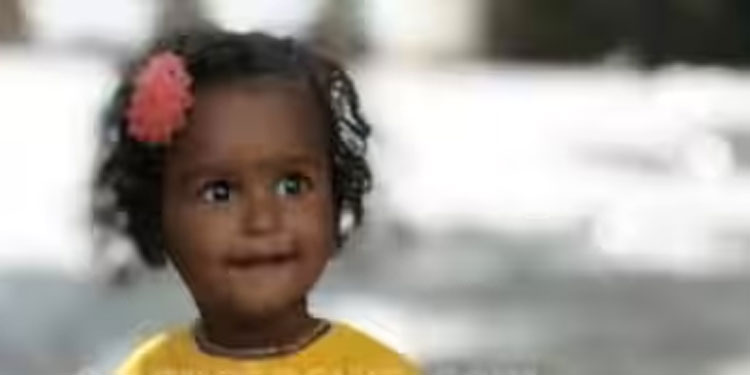 മുതലമടയിൽ റോഡരികിലെ മതിലിടിഞ്ഞ് വീണ് ഒന്നര വയസുകാരൻ മരിച്ചു