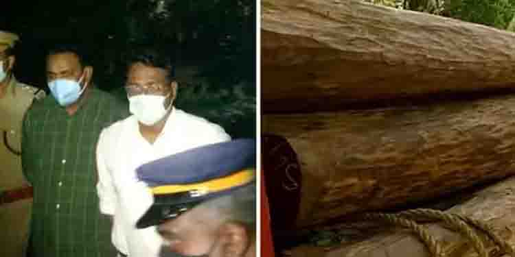 മുട്ടിൽ മരംമുറി കേസ്; പിഴ ചുമത്തി റവന്യൂ വകുപ്പ്; 35 കേസുകളിലായി 8 കോടിയോളം രൂപ പിഴ ചുമത്തി