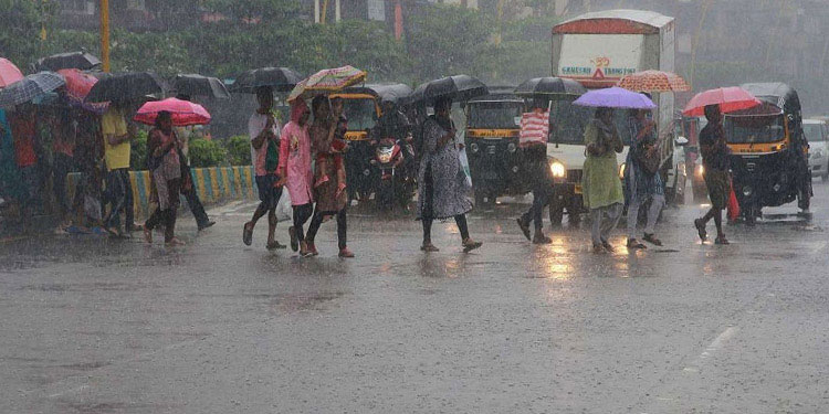 കേരളത്തിൽ ഇന്ന് പരക്കെ മഴയ്ക്ക് സാധ്യത; ഒൻപതു ജില്ലകളിൽ യെലോ അലർട്ട്