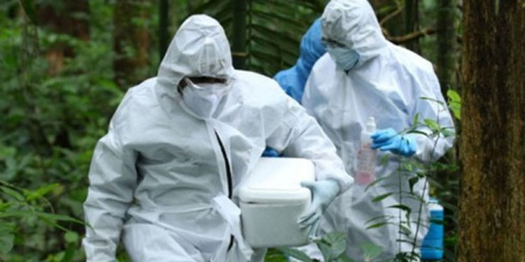 മലപ്പുറത്ത് ആശങ്കയൊഴിഞ്ഞു; വയോധികയ്‌ക്ക്‌ നിപാ ഇല്ല