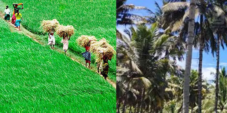 നെൽവയൽ തണ്ണീർത്തട നിയമം: രണ്ടു വർഷത്തേക്ക് ജീവനക്കാരെ നിയമിക്കാൻ ഉത്തരവ്