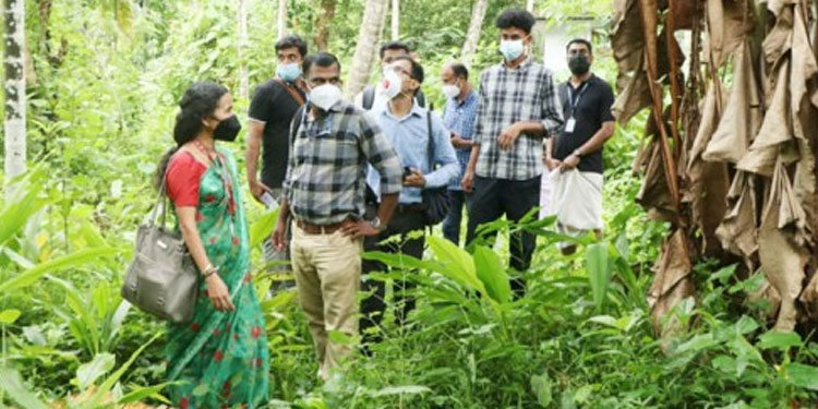 നിപാ പ്രതിരോധ പ്രവർത്തനം: കേന്ദ്ര സംഘം കുറ്റ്യാടിയിൽ സന്ദർശനം നടത്തി
