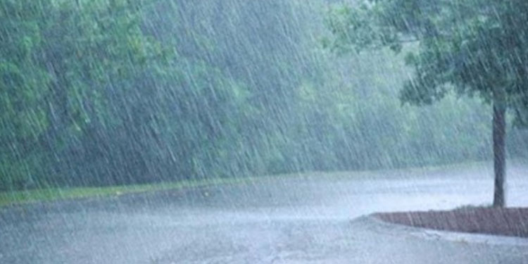 സംസ്ഥാനത്ത് മഴ കനക്കുന്നു: 7 ജില്ലകളിൽ യെല്ലോ അലർട്ട്
