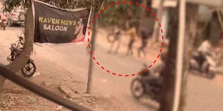 ഗുണ്ടാ കുടിപ്പക; നിലത്തു വീണിട്ടും യുവാക്കളെ വീണ്ടും വെട്ടി, ഒരാൾ അറസ്റ്റിൽ