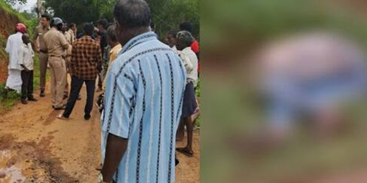 കാട്ടാനയുടെ ചവിട്ടേറ്റ് മധ്യവയസ്കൻ കൊല്ലപ്പെട്ടു, സംഭവം കേരളാ – തമിഴ്‌നാട് അതിർത്തിയിൽ