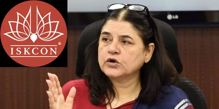 കൃഷ്ണഭക്ത സംഘടനയായ ‘ഇസ്‌കോൺ’ കൊടുംചതിയന്മാർ, ഗോശാലകളിലെ പശുക്കളെ കശാപ്പുകാർക്ക് വിൽക്കുന്നു -മനേക ഗാന്ധി