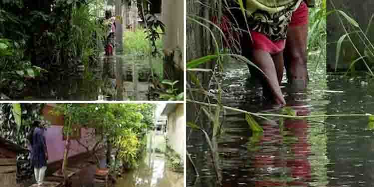 തിരുവനന്തപുരം ആനയറയിൽ കക്കൂസ് മാലിന്യം നിറഞ്ഞ വെള്ളക്കെട്ടിൽ 3 കുടുംബങ്ങൾക്ക് ദുരിതജീവിതം