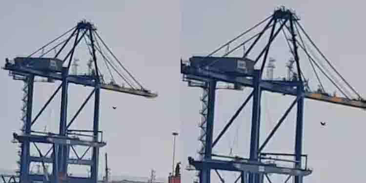 വിഴിഞ്ഞത്ത് രണ്ടാമത്തെ ക്രെയിനും ഇറക്കി; ഇനി ഇറക്കാനുള്ളത് 1100 ടണ്‍ ഭാരമുള്ള ക്രെയിൻ, സെൻഹുവ നാളെ മടങ്ങും