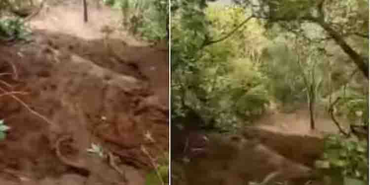 നെടുങ്കണ്ടത്ത് ഉരുള്‍പൊട്ടല്‍; കൃഷിയിടം ഒലിച്ചു പോയി