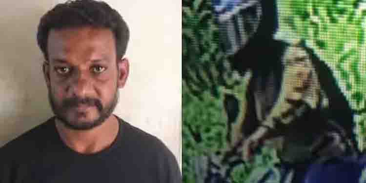 വയോധികയെ ആക്രമിച്ച് മാലപൊട്ടിച്ച പ്രതി പിടിയിൽ