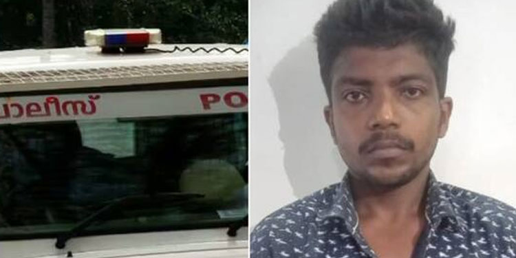 അയൽവാസിയോടെ ക്രൂരത, പെട്രോള്‍ ബോംബ് എറിഞ്ഞശേഷം ആലപ്പുഴയിൽ 70 കാരനെ വെട്ടികൊലപ്പെടുത്താൻ ശ്രമം; യുവാവ് പിടിയിൽ