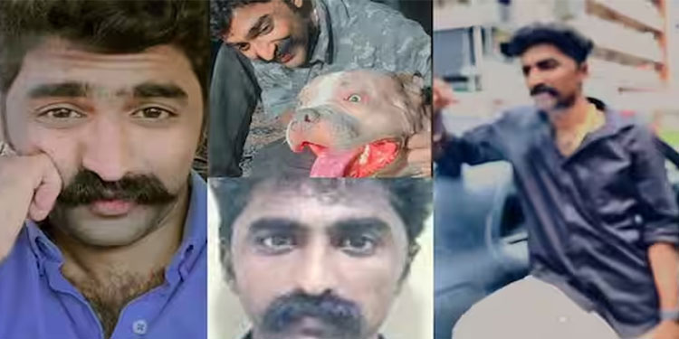 വധശ്രമക്കേസ് : ടിക് ടോക് താരം മീശ വിനീത് റിമാൻഡിൽ