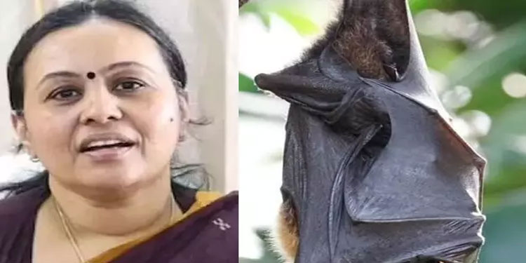 വയനാട്ടിൽ വവ്വാലുകളിൽ നിപ വൈറസ് സാന്നിധ്യമെന്ന് ഐ.സി.എം.ആർ സ്ഥിരീകരണം; ജാഗ്രത പാലിക്കണമെന്ന് ആരോഗ്യ മന്ത്രി