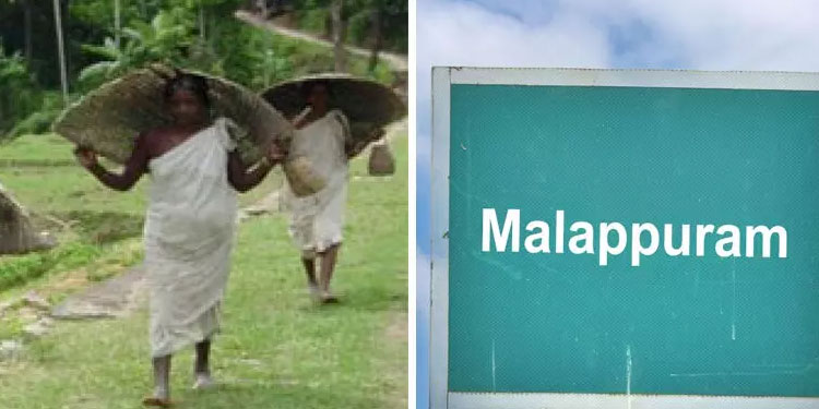 സാമ്പത്തിക സ്ഥിതിവിവരക്കണക്ക് മികച്ച വകുപ്പ്; മലപ്പുറം മികച്ച ജില്ല
