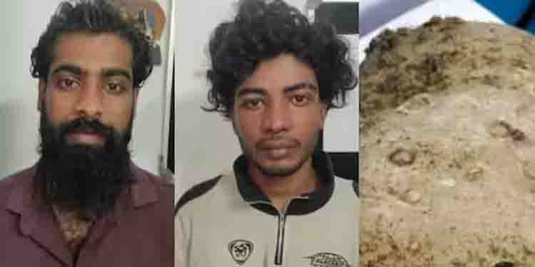 കൊച്ചിയില്‍ കോടികളുടെ തിമിംഗല ഛര്‍ദ്ദി പിടിച്ചെടുത്തു, രണ്ടു പേര്‍ അറസ്റ്റില്‍