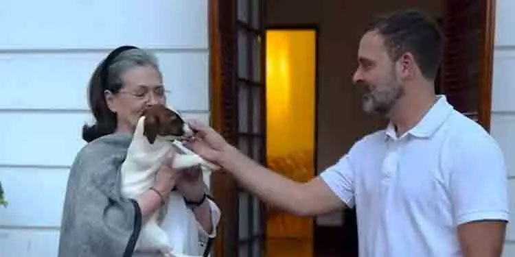 വളർത്തുനായക്ക് മുസ്ലിം യുവതിയുടെ പേരിട്ടു; രാഹുൽ ഗാന്ധി മാപ്പ് പറ‍യണമെന്ന് എ.ഐ.എം.ഐ.എം നേതാവ്