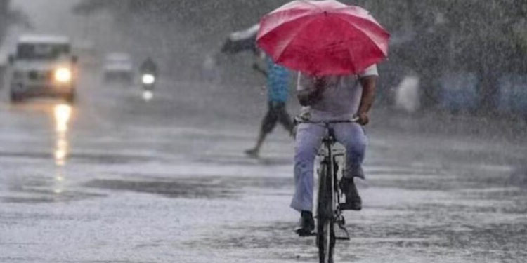 സംസ്ഥാനത്ത് ഒറ്റപ്പെട്ട മഴയ്ക്ക് സാധ്യത; ഇന്ന് തിരുവനന്തപുരം, കൊല്ലം ജില്ലകളിൽ യെലോ അലർട്ട്