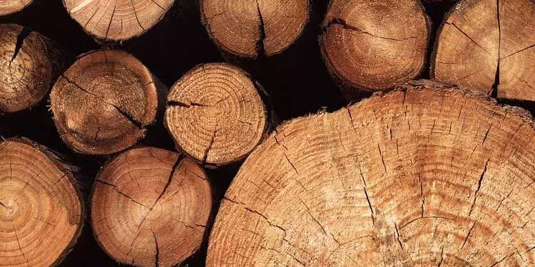 തേ​ക്കു​ത​ടി​ക​ൾ മോ​ഷ്ടി​ച്ചു​ക​ട​ത്തി​യ അ​ഞ്ചു​പേ​ർ അ​റ​സ്റ്റി​ൽ