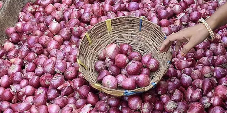 ഉള്ളിവില  കുതിച്ചുയരുന്നു