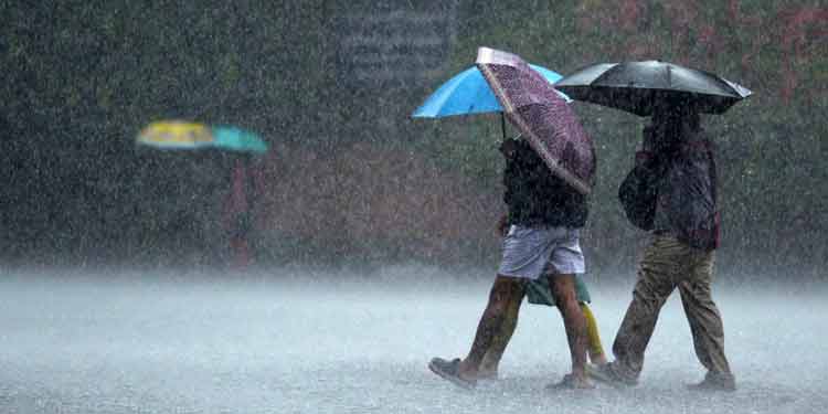 മഴ മുന്നറിയിപ്പിൽ മാറ്റം ; സംസ്ഥാനത്ത് 5 ജില്ലകളിൽ യെല്ലോ അലർട്ട് പ്രഖ്യാപിച്ചു