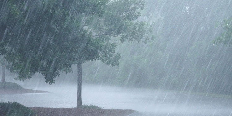 കേരളത്തിൽ ഇടിമിന്നലോട് കൂടിയ മഴക്ക് സാധ്യത ; ഇന്ന് 4 ജില്ലകളിൽ യെല്ലോ അലർട്ട്