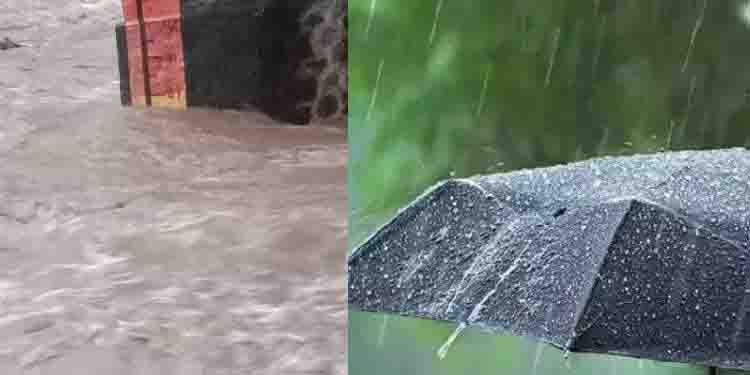 കോട്ടയത്ത് മഴ തുടരുന്നു; മീനച്ചിലാറ്റിലും മണിമലയാറ്റിലും ജലനിരപ്പ് ഉയരുന്നു