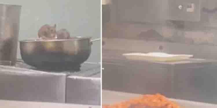 ട്രെയിൻ പാൻട്രിയിൽ യഥേഷ്ടം ഓടിനടക്കുന്ന എലികൾ; വിഡിയോ വൈറൽ