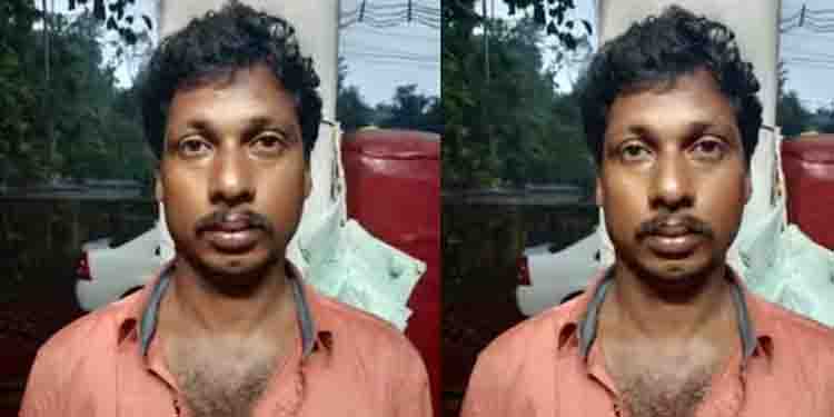 61കാരിയായ അമ്മയ്ക്ക് മർദ്ദനം, 42കാരനായ മകന്‍ അറസ്റ്റിൽ