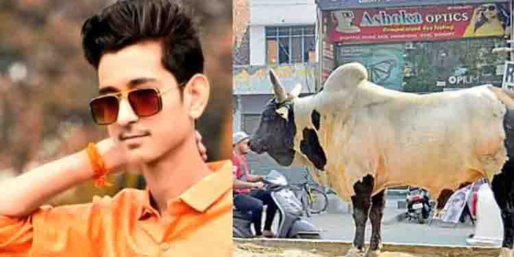 യുപിയില്‍ തെരുവുകാള സ്‌കൂട്ടറില്‍ ഇടിച്ച് ബജ്‌റംഗ്ദള്‍ പ്രവര്‍ത്തകന് ദാരുണാന്ത്യം