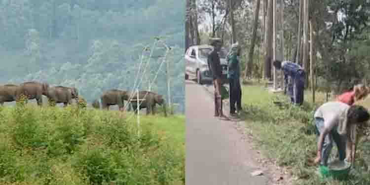 അവഗണിച്ച് വനംവകുപ്പ്, 6 കിലോമീറ്റർ ദൂരത്തില്‍ പിരിവിട്ട് വൈദ്യുതി വേലിയൊരുക്കി നാട്ടുകാർ