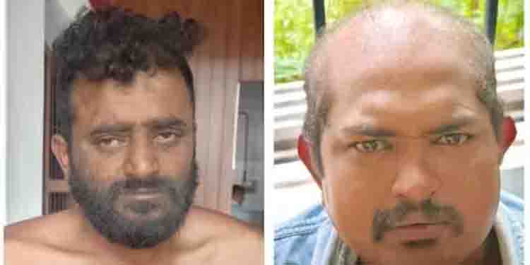 വീട് കയറി ആക്രമണം നടത്തിയ യുവാക്കള്‍ പിടിലായത് ലോറിയിൽ നിന്ന് മോഷ്ടിച്ച ബാറ്ററിയുമായി