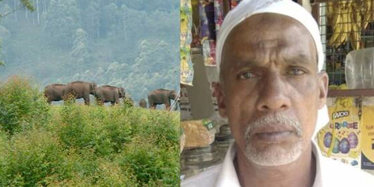 ട്രാന്സ്ഫോമറിന് പിന്നിലൊളിച്ച് കാട്ടുകൊമ്പൻ, വയനാട്ടില് ജോലിക്ക് പോയ 58കാരന് ദാരുണാന്ത്യം