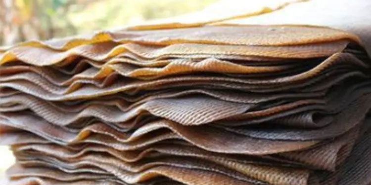 യൂറോപ്യൻ യൂണിയൻ വഴങ്ങുന്നില്ല ; റബർ കയറ്റുമതിക്ക്‌ പുതിയ പ്രതിസന്ധി