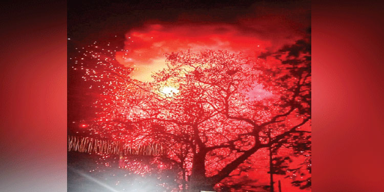 നിരോധന വിധി: തൃശൂർ പൂരം വെടിക്കെട്ടിന് ആശങ്ക