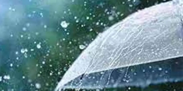 ഒറ്റപ്പെട്ട ശക്തമായ മഴയ്ക്ക് സാധ്യത;  9 ജില്ലകളിൽ യെല്ലോ അലർട്ട്