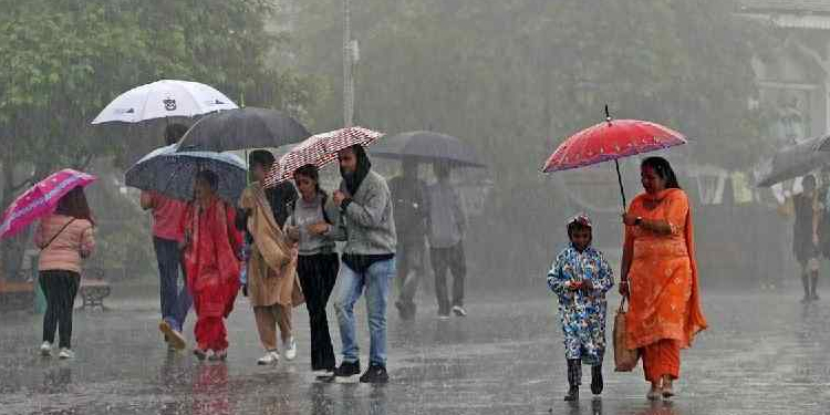 കേരളത്തിൽ ഓറഞ്ച് അലർട്ട് 2 ജില്ലയിൽ ; 5 ദിനം മഴ ശക്തമാകും