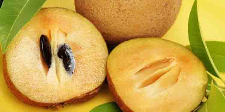 അറിയാം സപ്പോട്ട കഴിക്കുന്നത് കൊണ്ടുള്ള ഗുണങ്ങള്‍…