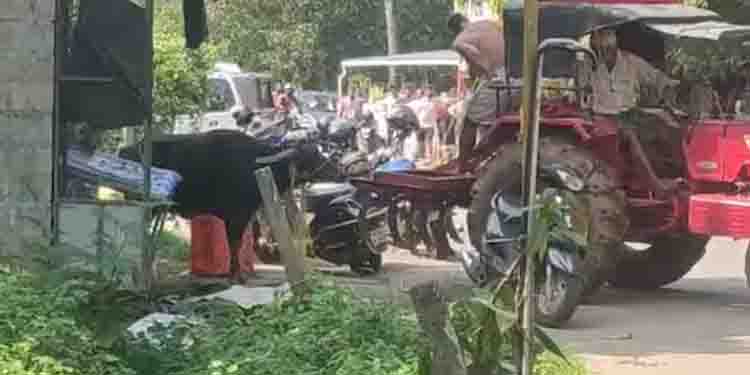 പോത്ത് വിരണ്ടു; ആറുപേർക്ക് പരിക്ക്, പിടിച്ചു കെട്ടാനെത്തിയ ഫയർഫോഴ്സ് ജീവനക്കാരനും കുത്തേറ്റു