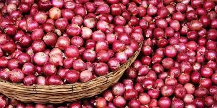 ഉള്ളി കയറ്റുമതി നിരോധിച്ച് കേന്ദ്രസർക്കാർ; നിരോധനം അടുത്ത വർഷം മാർച്ച് 31വരെ